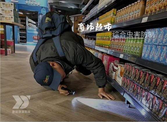 商場(chǎng)蟲(chóng)害防治專(zhuān)業(yè)服務(wù)